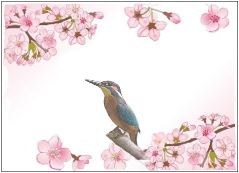 鳥の塗り絵 ぬり絵の力 高齢者用 無料プリント ぬり絵の力