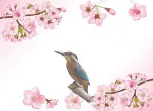 鳥の塗り絵 ぬり絵の力 高齢者用 無料プリント ぬり絵の力