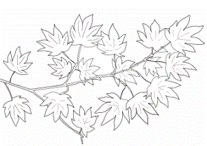 印刷可能なぬり絵の根を持つ花