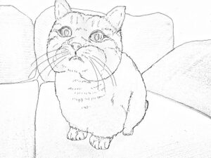 猫の塗り絵 高齢者用無料塗り絵プリント ぬり絵の力